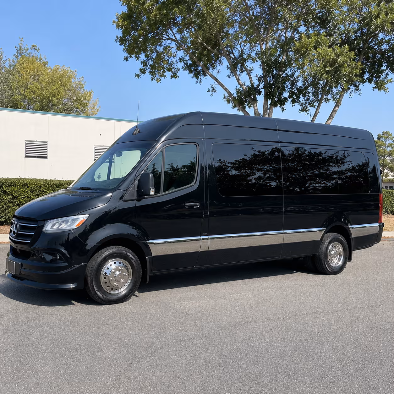 mesquite concert transportation