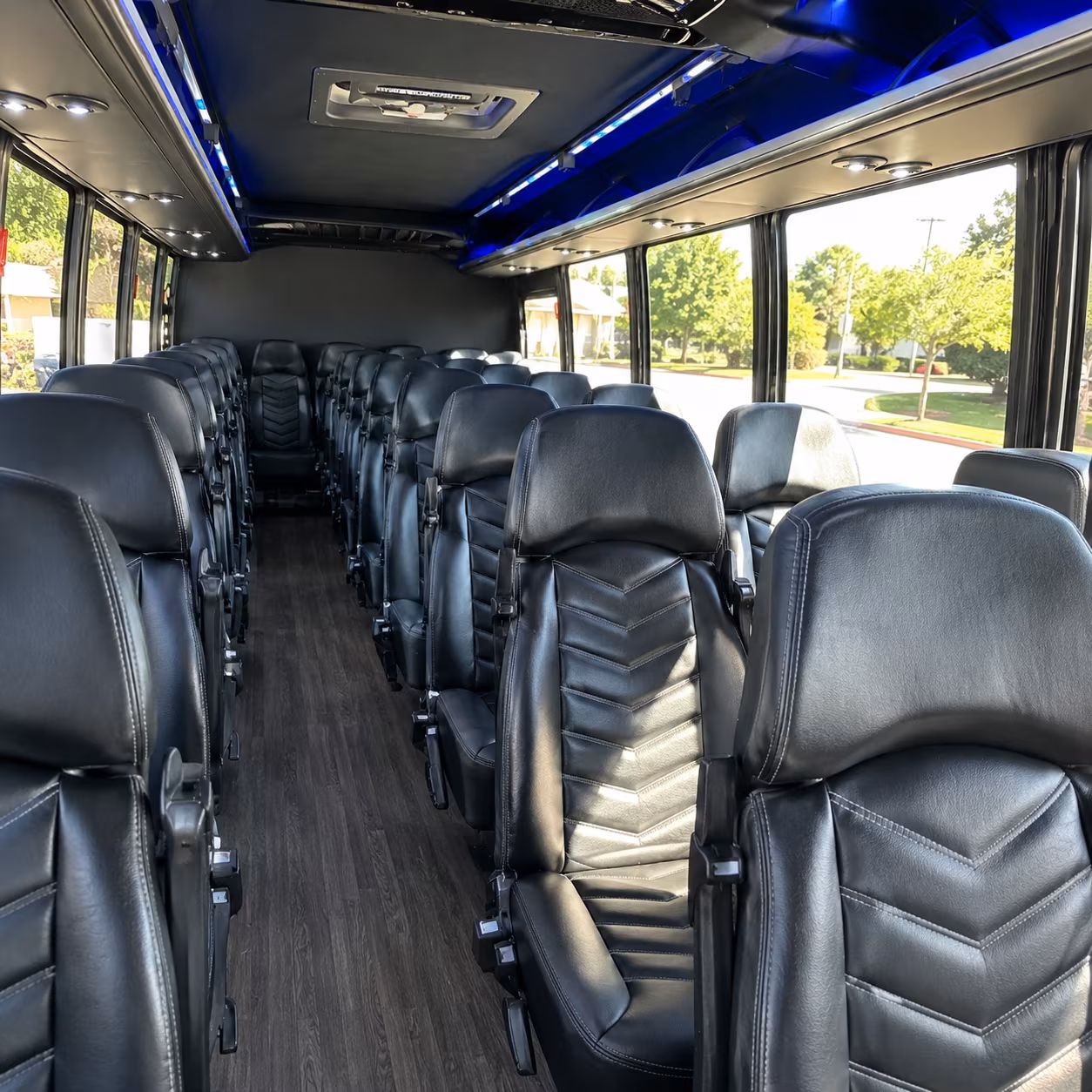 mesquite long distance transportation onboard seating